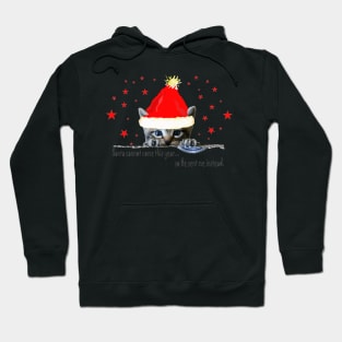 Funny Christmas Cat meme Hoodie